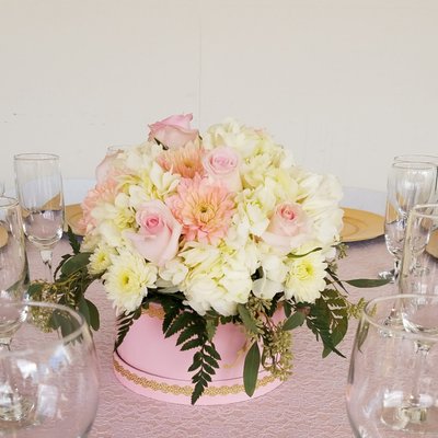 Green Garden by null