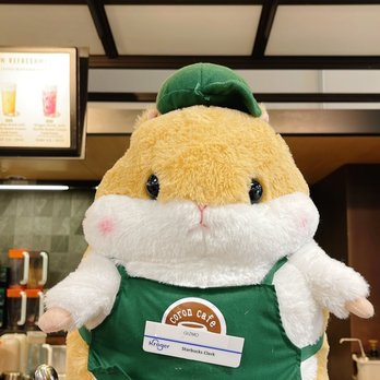 Starbucks - a stuffed hamster wearing a green hat - Coffee & Tea Near Me - Chesapeake, Virginia