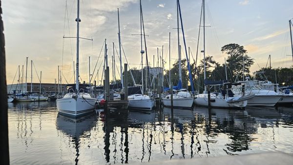Bayou Joes Marina & Grill by null