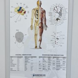 Integrative Rehab Medicine