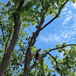Cro Outdoor Services