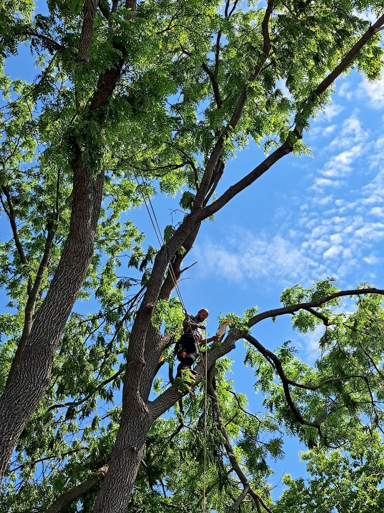 Cro Outdoor Services - tree service in Clive, IA