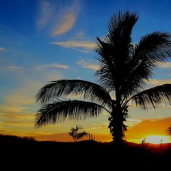 CABO LUXURY TRAVEL SERVICES