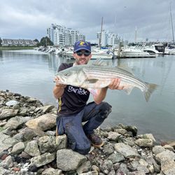 P & J Bait Shop