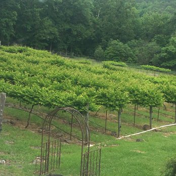 Stony Mountain Vineyards - Wineries Near Me - Albemarle, North Carolina Stony Mountain Vineyards - Wineries Near Me - Albemarle, North Carolina
