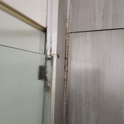 Holiday Inn Youngstown-South - Mold around the shower that leaked.