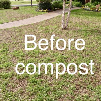 Earth Kind Services - St. Augustine lawn before compost - Lawn Services Near Me