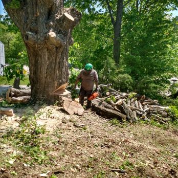 All Tree - Tree Services Near Me - Jaffrey, New Hampshire