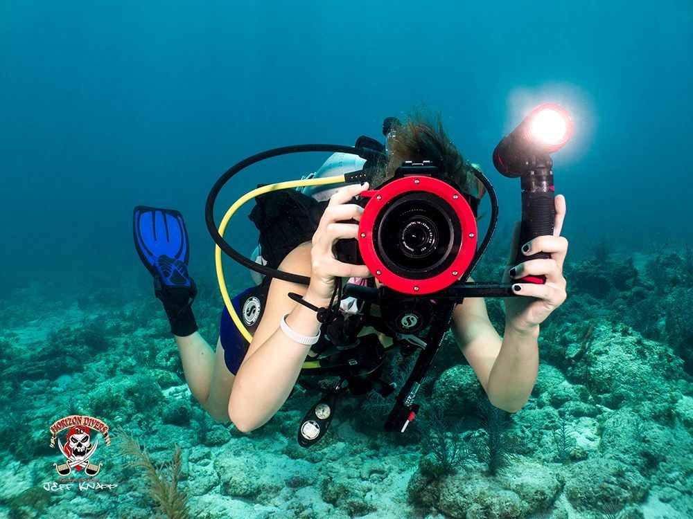 HORIZON DIVERS Updated September 2024 176 Photos & 118 Reviews