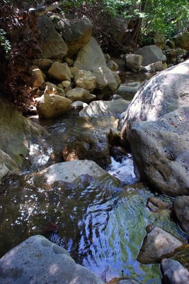 Chumash Painted Cave State Historic Park by null