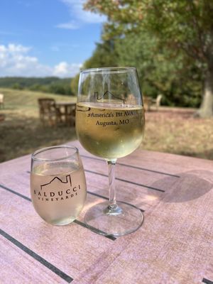 Balducci Vineyards by null