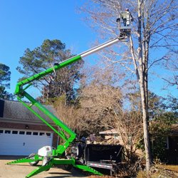 Cape Fear Tree Service