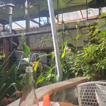 Fable - Garden dining - New American Near Me - San Francisco, California