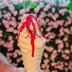 Gaufres & Glaces