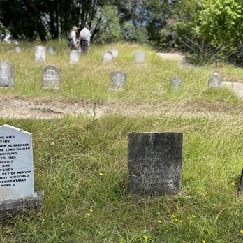 Powerscourt Gardens & House - The pet cemetery was one our favorite stops. - Parks Near Me - Enniskerry, WW Powerscourt Gardens & House - The pet cemetery was one our favorite stops. - Parks Near Me - Enniskerry, WW