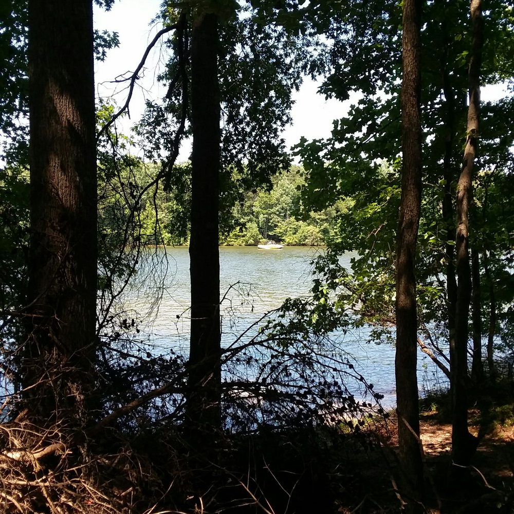 Lake Anna State Park - Views of the lake from Big Woods trail. - Parks Near Me - Spotsylvania, Virginia