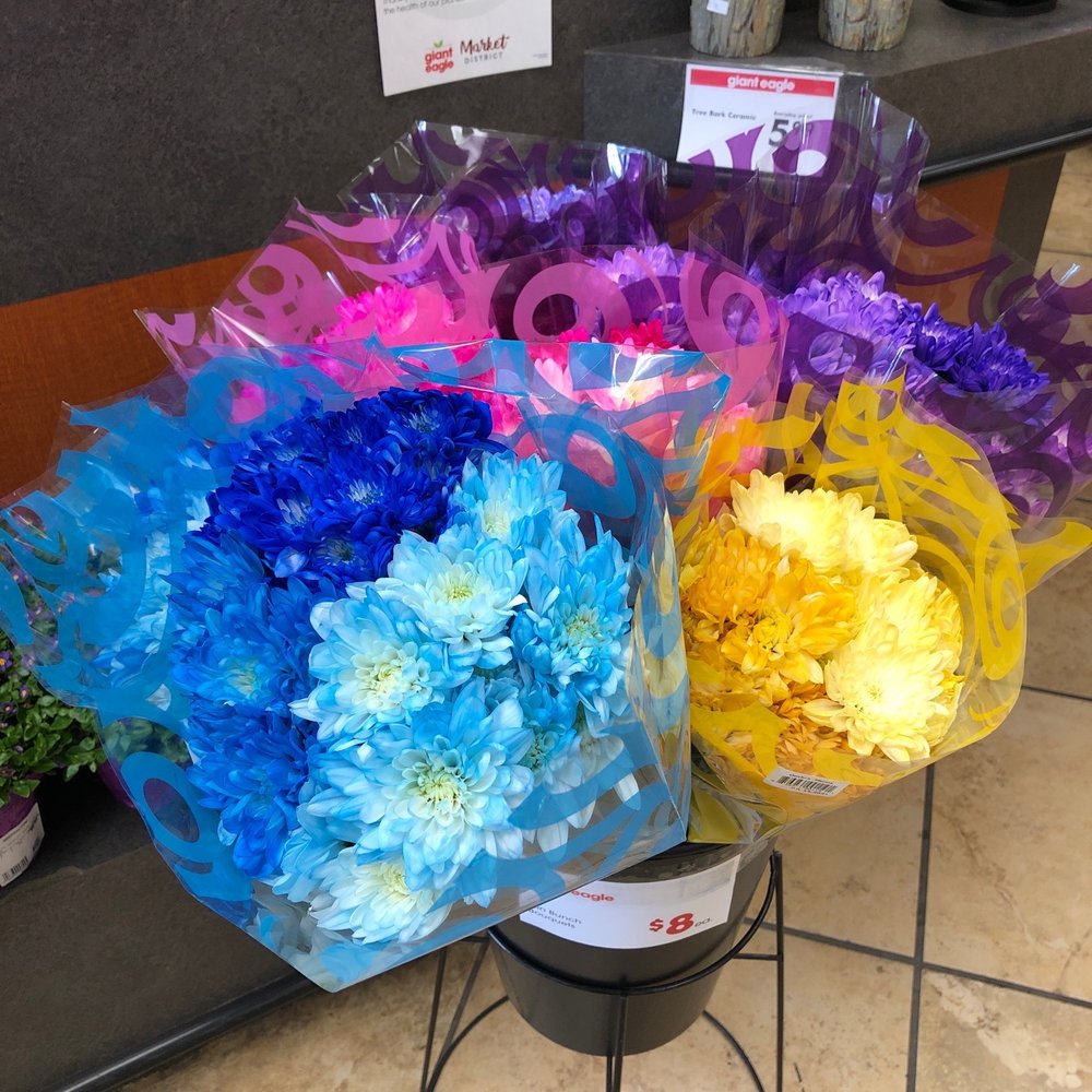 Giant Eagle Flowers Erie Pa Best Flower Site