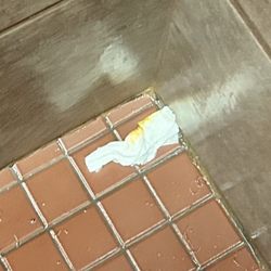 The Health & Fitness Center at Washtenaw Community College - Shit stained wipe in the shower