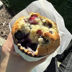 Modern Homestead Guest House - Blueberry Muffin