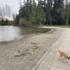 Lake Wilderness Arboretum gift card