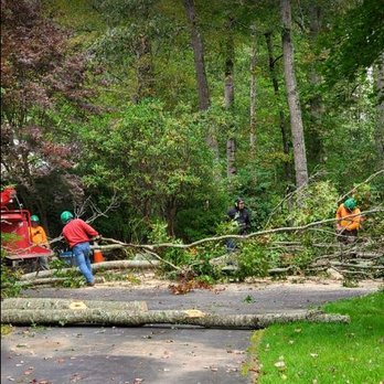All Pro Tree & Crane - Tree Team Clean-Up following a Tree Removal in Henderson County, NC - Tree Services Near Me - Flat Rock, North Carolina All Pro Tree & Crane - Tree Team Clean-Up following a Tree Removal in Henderson County, NC - Tree Services Near Me - Flat Rock, North Carolina