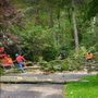 Photo of All Pro Tree & Crane