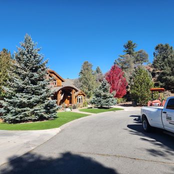 Arzate's Landscaping - Artificial turf and trees - Landscaping Near Me - Apple Valley, California