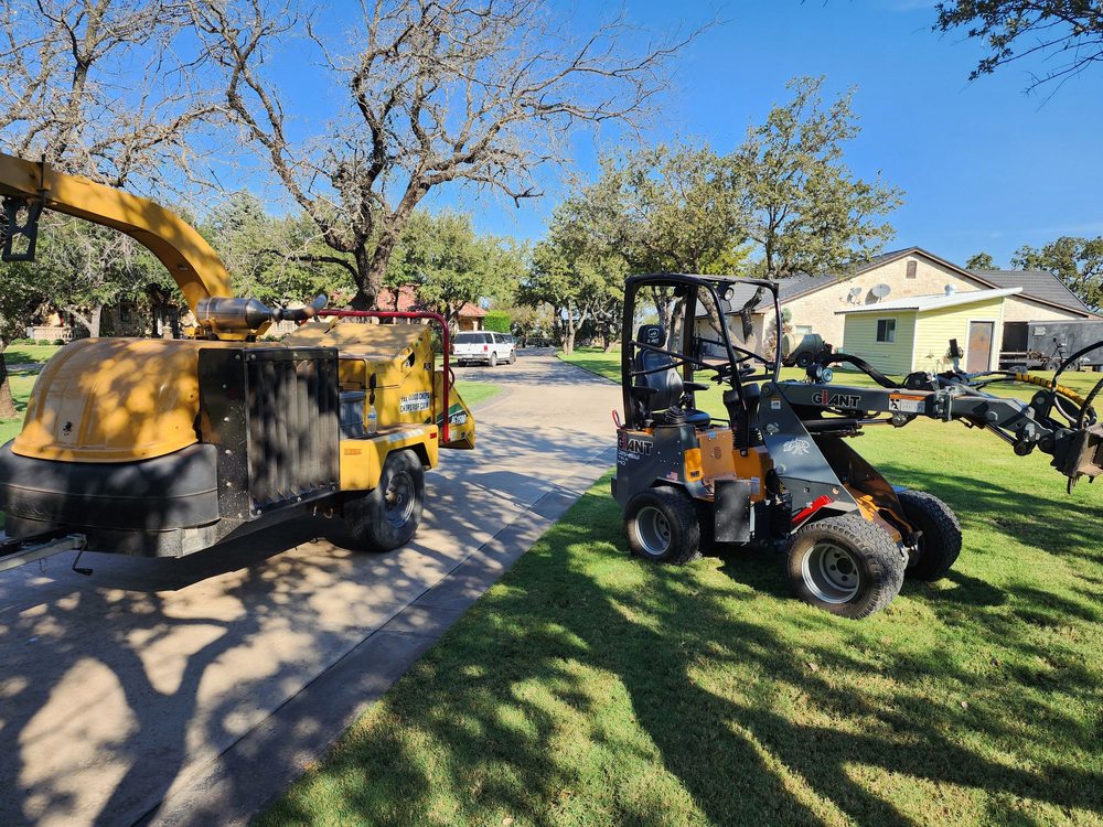 PRICHARD TREE CARE Updated September 2024 41 Photos 6537