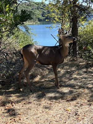 Hollywood Reservoir by null