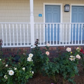 Waterside Motor Inn - Gorgeous multicolored rose bushes and lamp lights outside first floor deck. - Hotels Near Me - Chincoteague Island, Virginia Waterside Motor Inn - Gorgeous multicolored rose bushes and lamp lights outside first floor deck. - Hotels Near Me - Chincoteague Island, Virginia