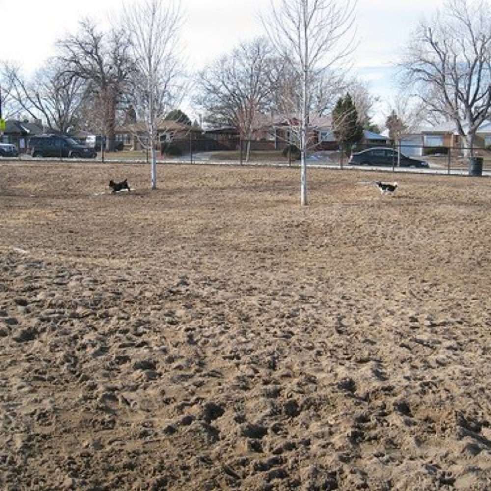 Stapleton Dog Park - Dog Parks Near Me - Denver, Colorado Stapleton Dog Park - Dog Parks Near Me - Denver, Colorado