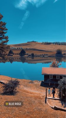 Mercier Orchards by null