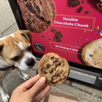 Insomnia Cookies - Vegan/ Gluten Free Choc Chip - Desserts Near Me - Providence, Rhode Island Insomnia Cookies - Vegan/ Gluten Free Choc Chip - Desserts Near Me - Providence, Rhode Island