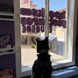 My dog in the window of the kids section
