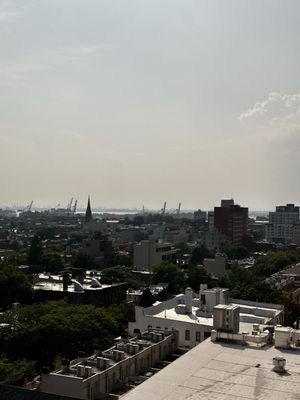 Ace Hotel Brooklyn by null