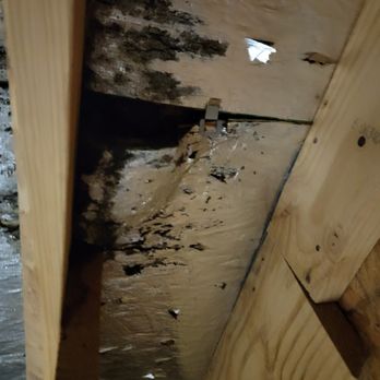 Anvil Roofers - Roof leak in February 2024 - Roofing Near Me - Houston, Texas