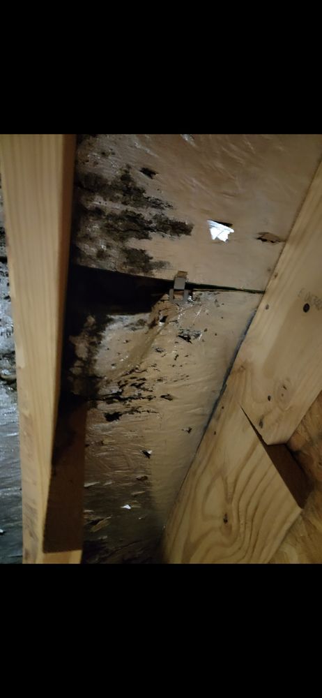 Slide of Anvil Roofers