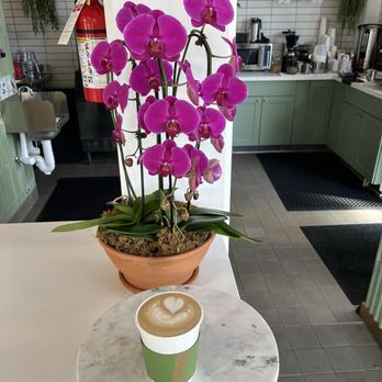 Les Deux Amis - At the bar. Enjoying a vanilla latte. - Cafes Near Me - San Francisco, California