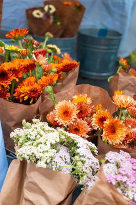 St Matthews Farmers Market by null
