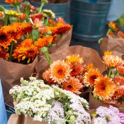 St. Matthews Farmers Market - Farmers market flowers