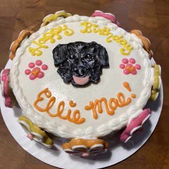 Pets Naturally - Our portrait cakes - Pet Stores Near Me - Traverse City, Michigan Pets Naturally - Our portrait cakes - Pet Stores Near Me - Traverse City, Michigan