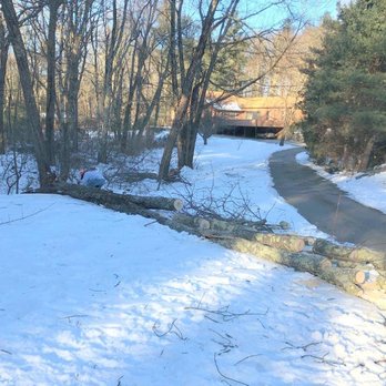 Devo's Tree & Stump removal - Tree Services Near Me Devo's Tree & Stump removal - Tree Services Near Me