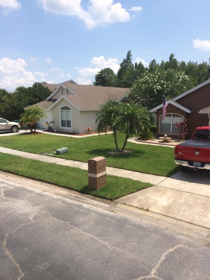 Nations Landscaping - tree service in Orlando, FL