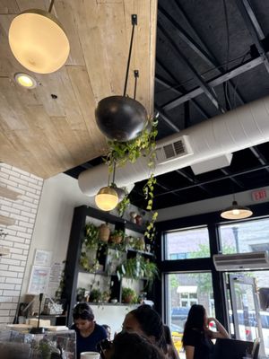 Tribal All Day Cafe by null