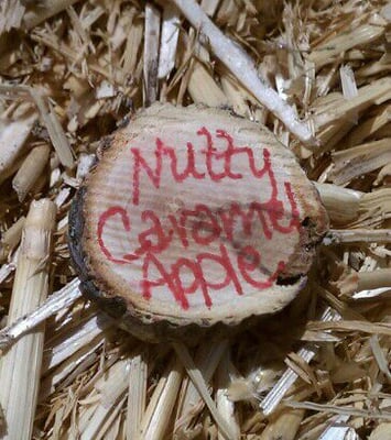 Willowbrook Apple Farm by null