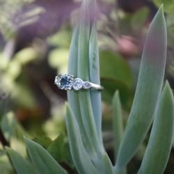 Timothy Patrick Jewelers - Photo taken by my fiance.
