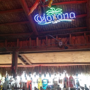 Cafe 27 - Parrot in the Tiki Bar - Tiki Bars Near Me - Southwest Ranches, Florida
