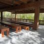 Photo of Fern Forest Nature Center