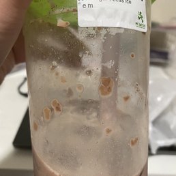 Cocoa milk Cocoa milk