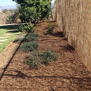 Carmelo's Crew Landscaping - Fence before - Landscaping Near Me